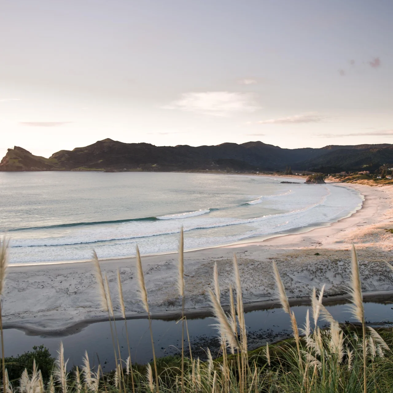 De oceaan bij Medlands Beach op Great Barrier Island