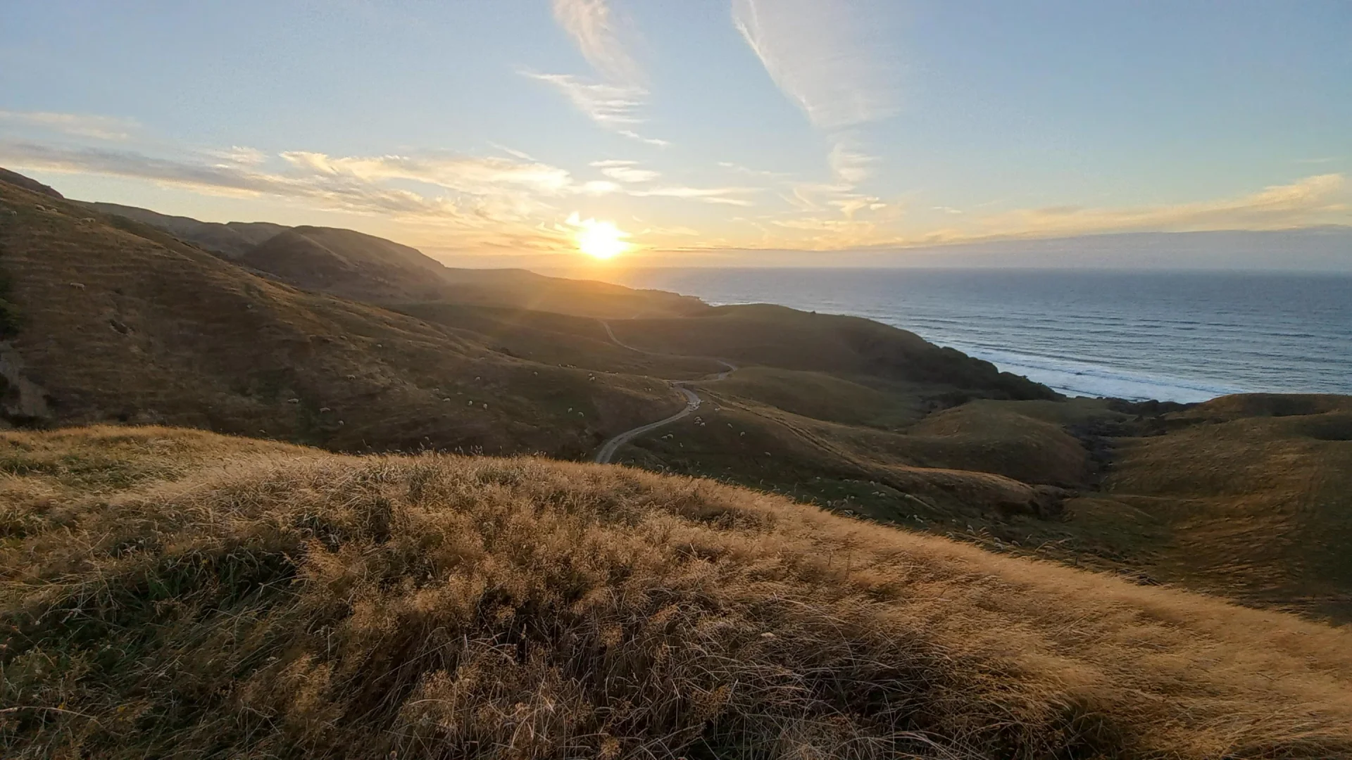 Zonsondergang achter goudgele glooiende heuvels met de oceaan erachter in de Golden Bay, Nieuw-Zeeland