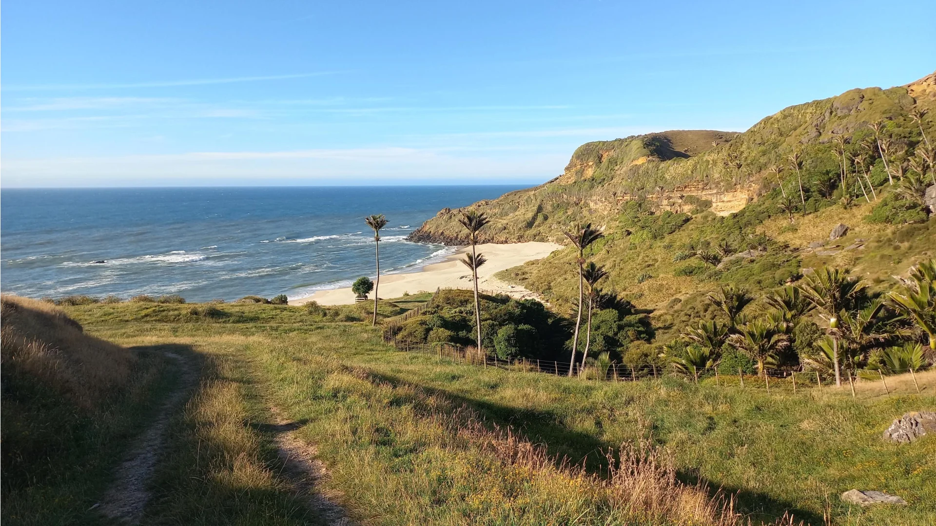 Uitzicht op de oceaan en een prachtige baai aan de westkant van de Golden Bay, Nieuw-Zeeland