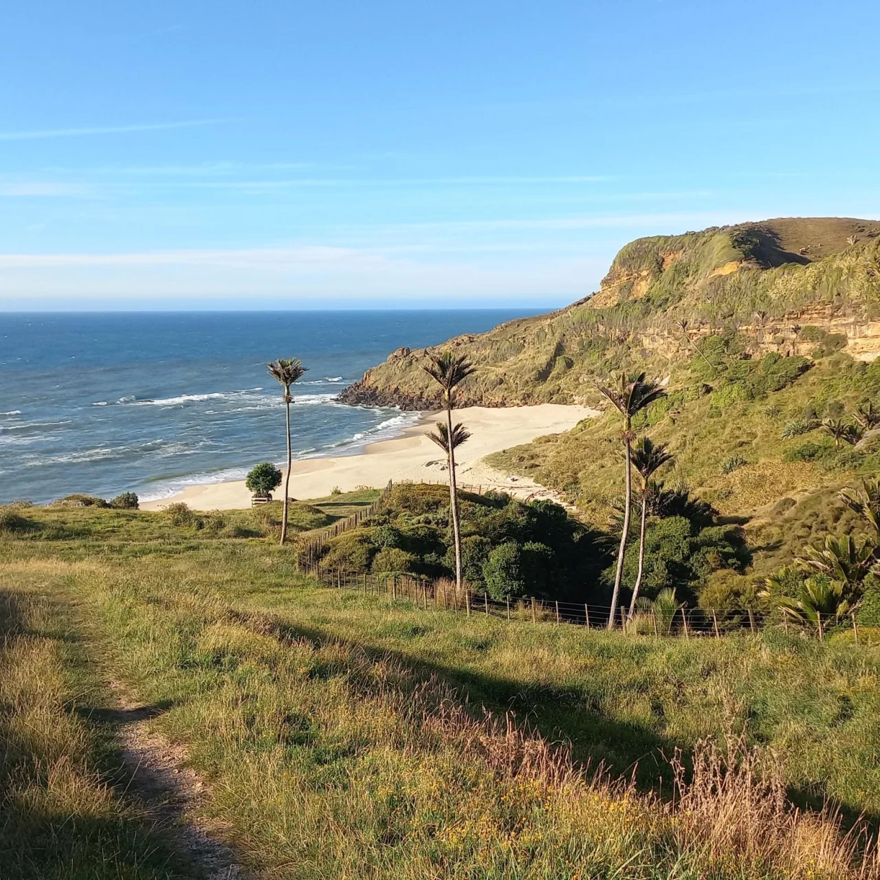 Uitzicht op de oceaan en een prachtige baai aan de westkant van de Golden Bay, Nieuw-Zeeland