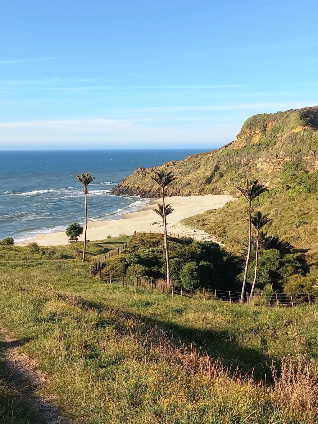 Uitzicht op de oceaan en een prachtige baai aan de westkant van de Golden Bay, Nieuw-Zeeland