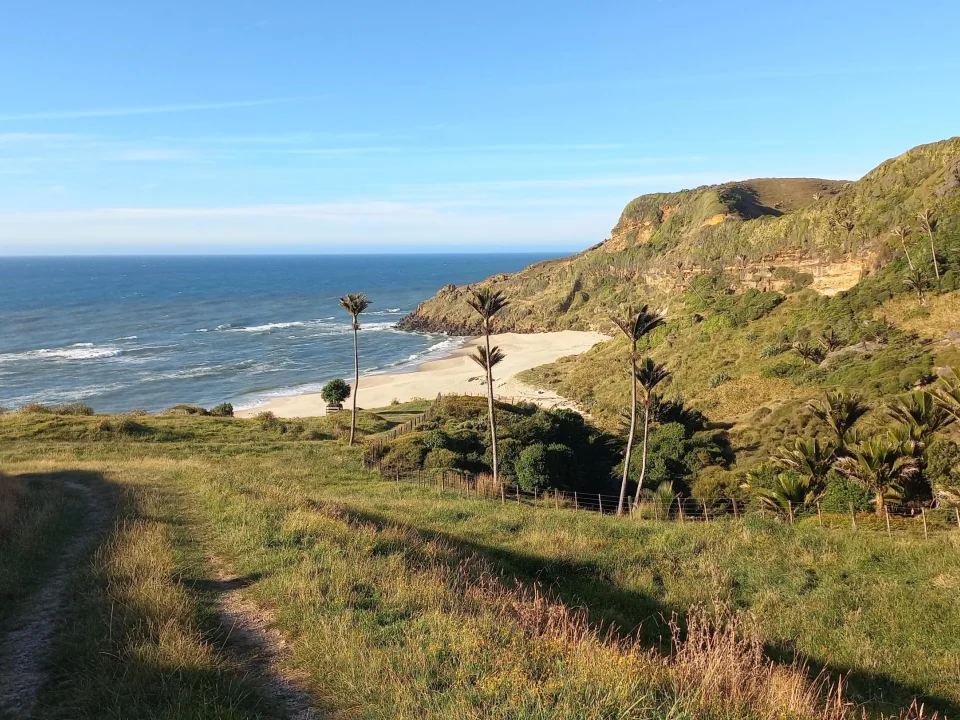 Uitzicht op de oceaan en een prachtige baai aan de westkant van de Golden Bay, Nieuw-Zeeland