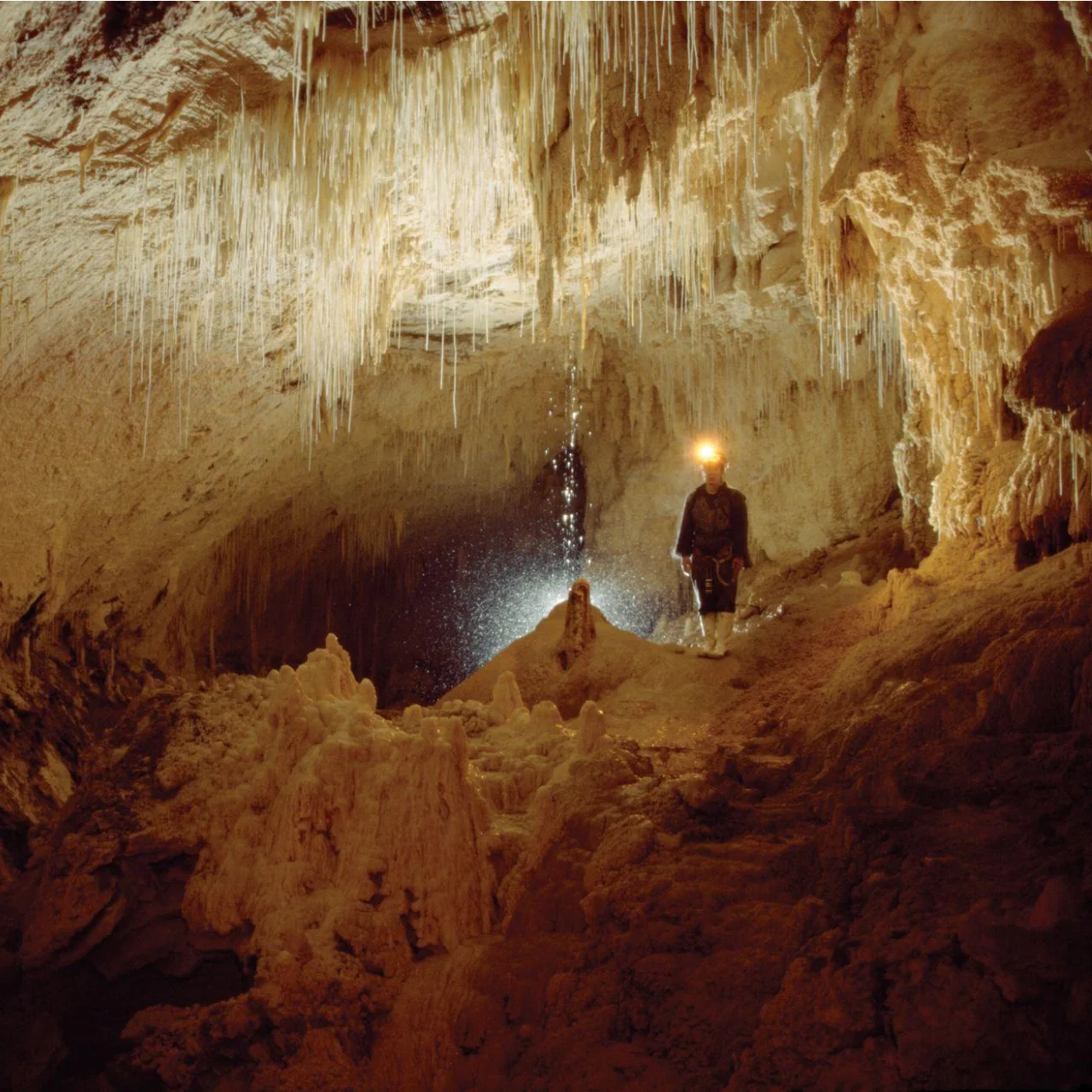 Wandelend door de grotten van Waitomo