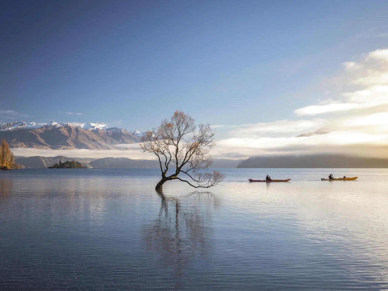 De Wanaka Lone Tree in het water met 2 kajakkers er naast en bergen op de achtergrond in Wanaka, Zuidereiland Nieuw-Zeeland