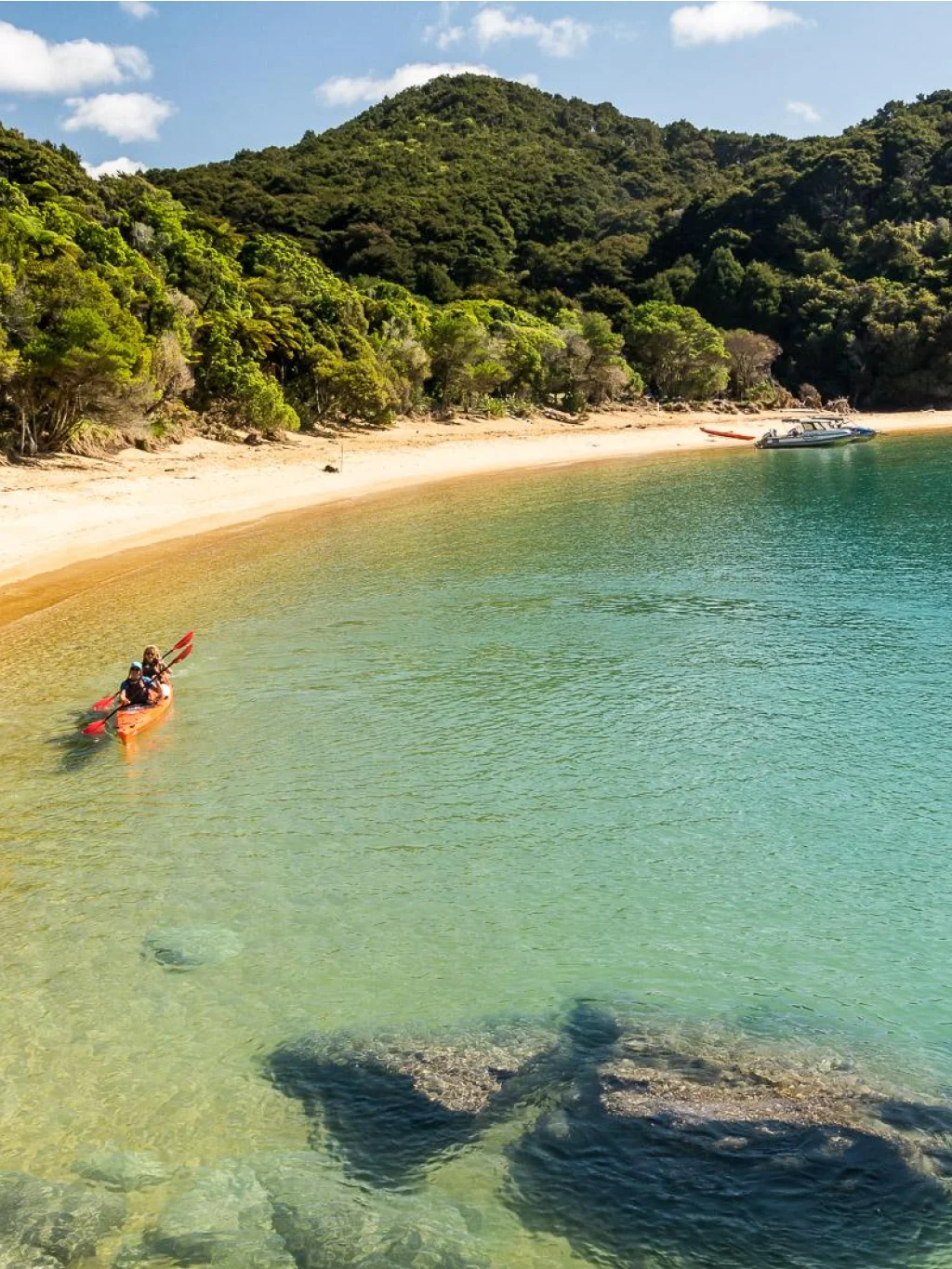 Kajakken langs de goudgele kustlijn van het Abel Tasman National Park, Nieuw-Zeeland
