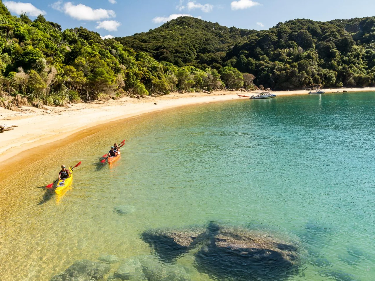 Kajakken langs de goudgele kustlijn van het Abel Tasman National Park, Nieuw-Zeeland