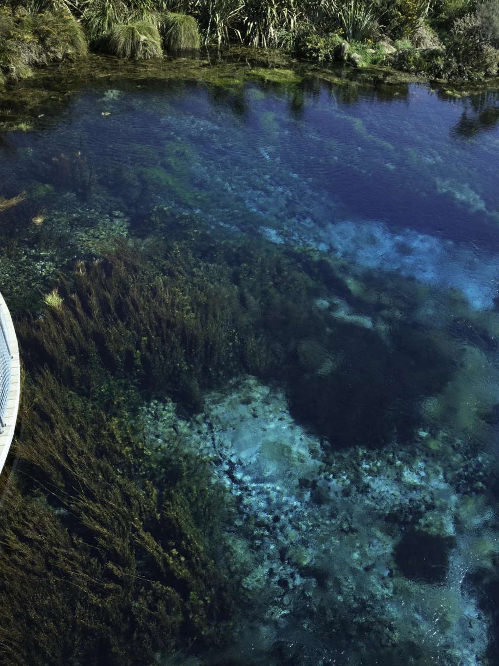 Het heilige water met felblauwe kleuren van Te Waikoropupu in de Golden Bay, Nieuw-Zeeland