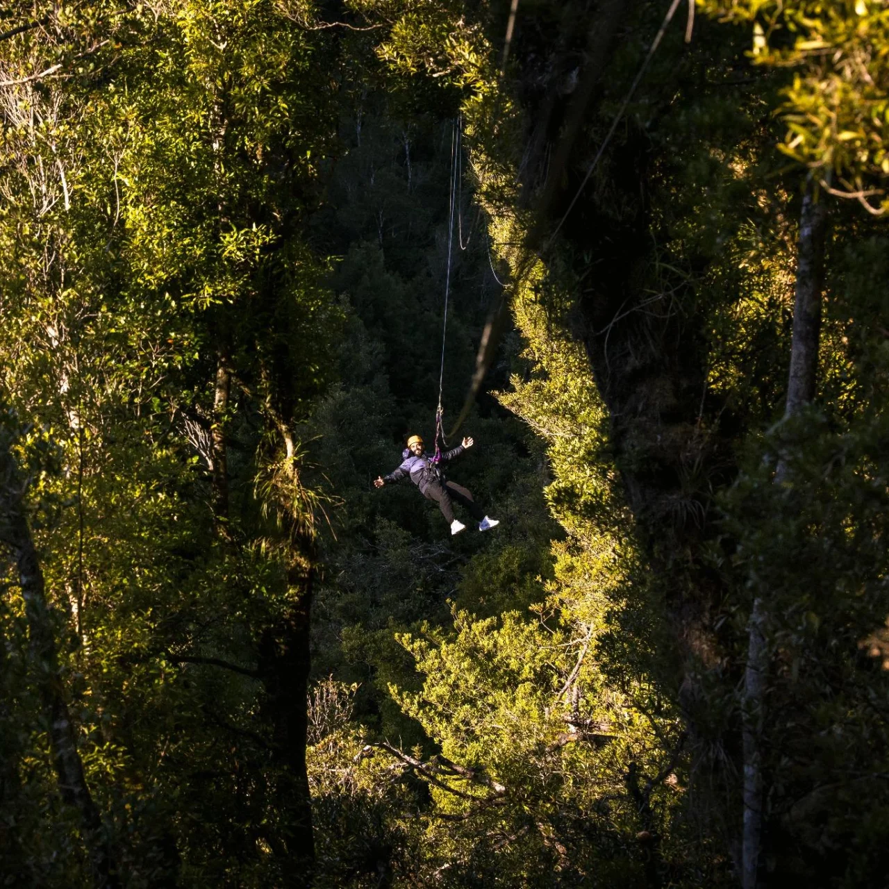 Ziplinen door het bos in Rotorua op het Noordereiland tijdens een reis door Nieuw-Zeeland