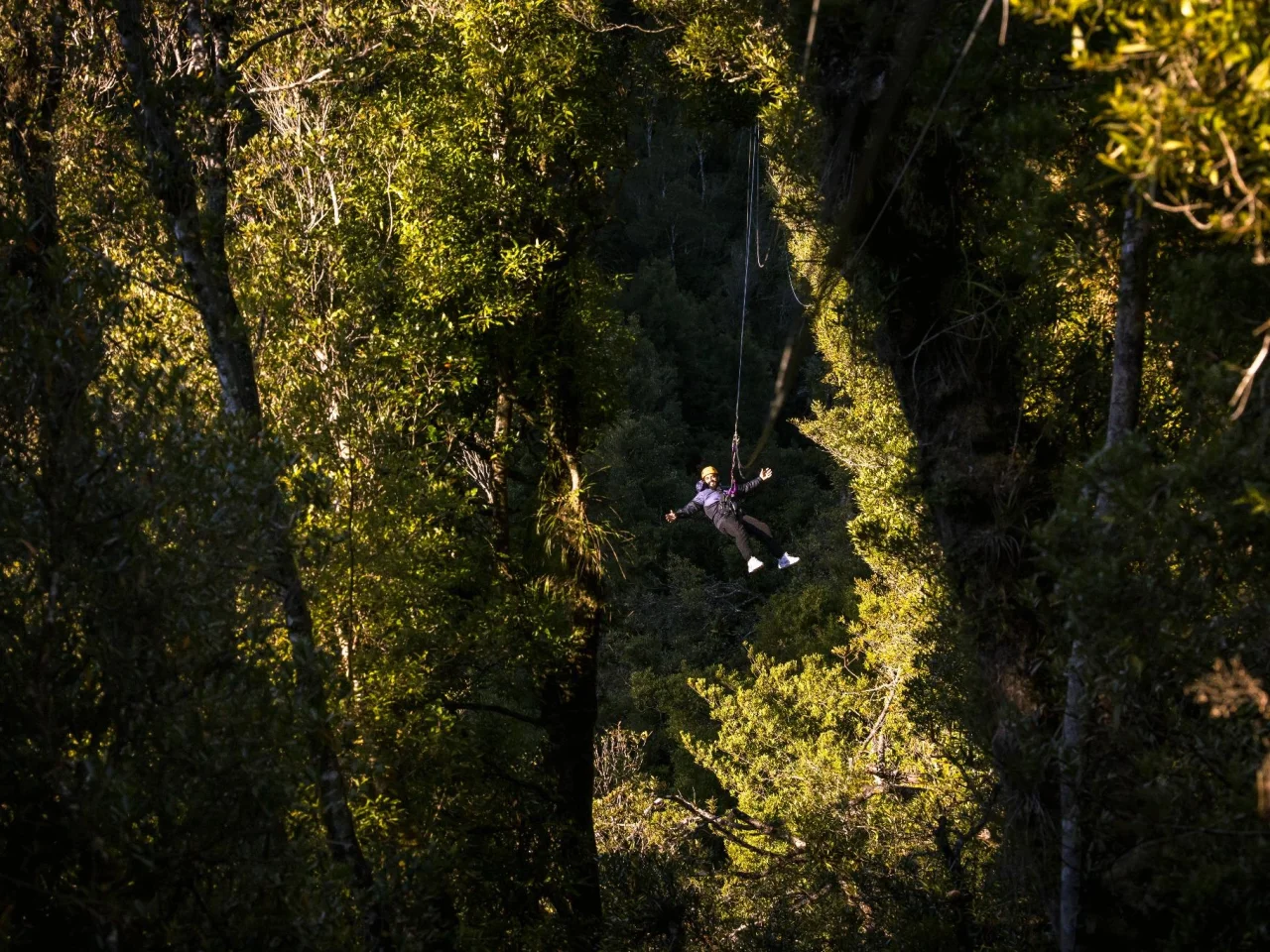 Ziplinen door het bos in Rotorua op het Noordereiland tijdens een reis door Nieuw-Zeeland