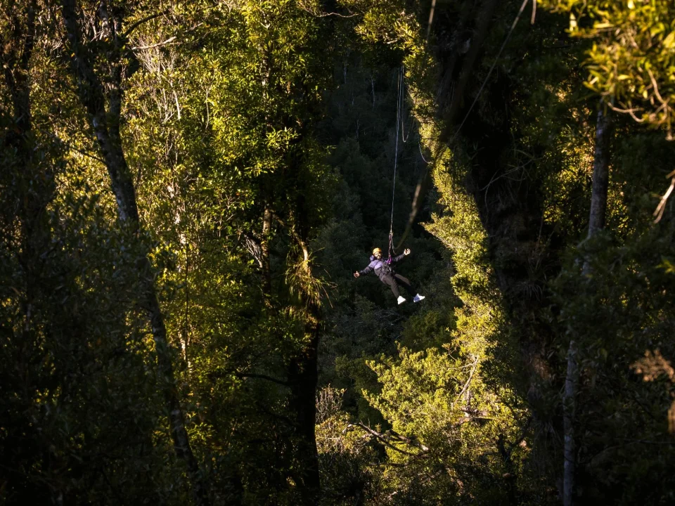 Ziplinen door het bos in Rotorua op het Noordereiland tijdens een reis door Nieuw-Zeeland