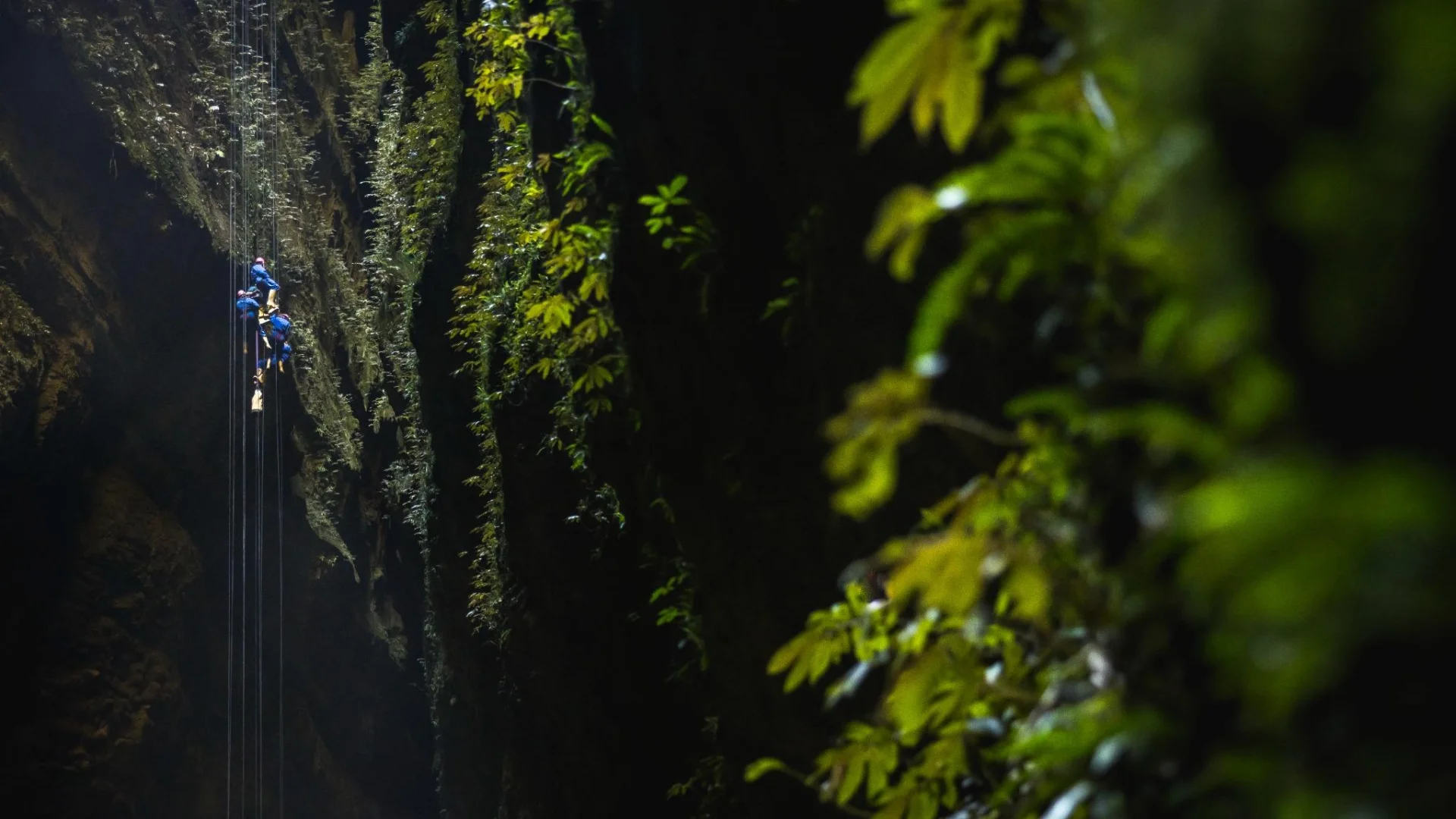 Abseilers die in de grotten van Waitomo hangen terwijl ze 100 meter aan het abseilen zijn, tijdens The Lost World excursie