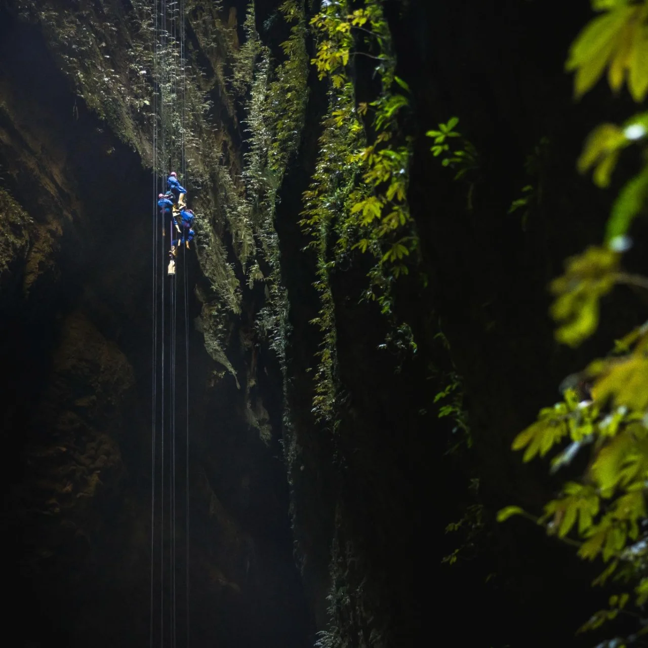Abseilers die in de grotten van Waitomo hangen terwijl ze 100 meter aan het abseilen zijn, tijdens The Lost World excursie