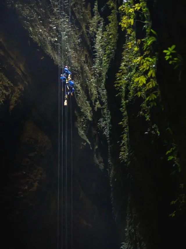 Abseilers die in de grotten van Waitomo hangen terwijl ze 100 meter aan het abseilen zijn, tijdens The Lost World excursie