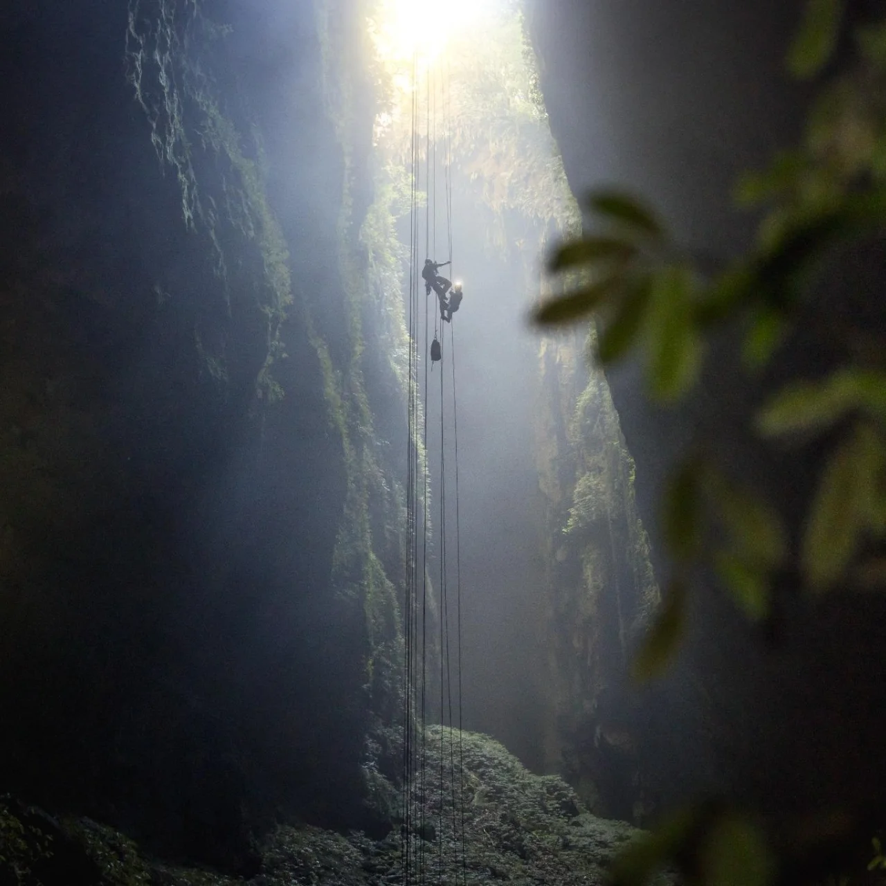 Mensen die abseilen in de grotten van Waitomo en halverwege hangen