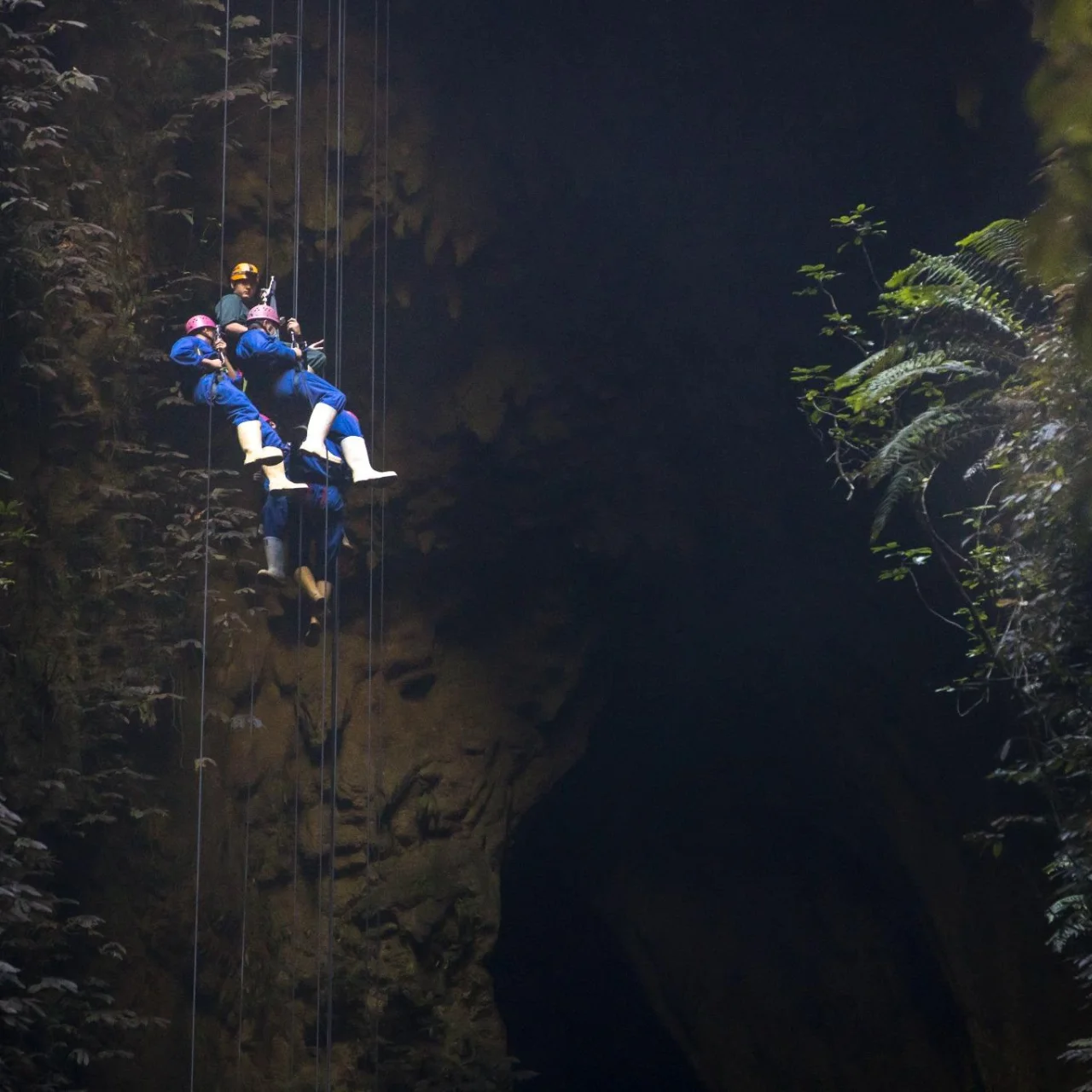 Abseilers die bungelen in de grotten van Waitomo terwijl ze 100 meter aan het abseilen zijn, tijdens The Lost World excursie