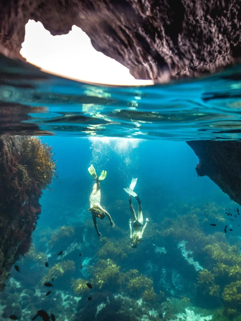 Twee snorkelaars zwemmen onder water bij de Poor Knights Islands voor de kust van Tutukaka, Nieuw-Zeeland