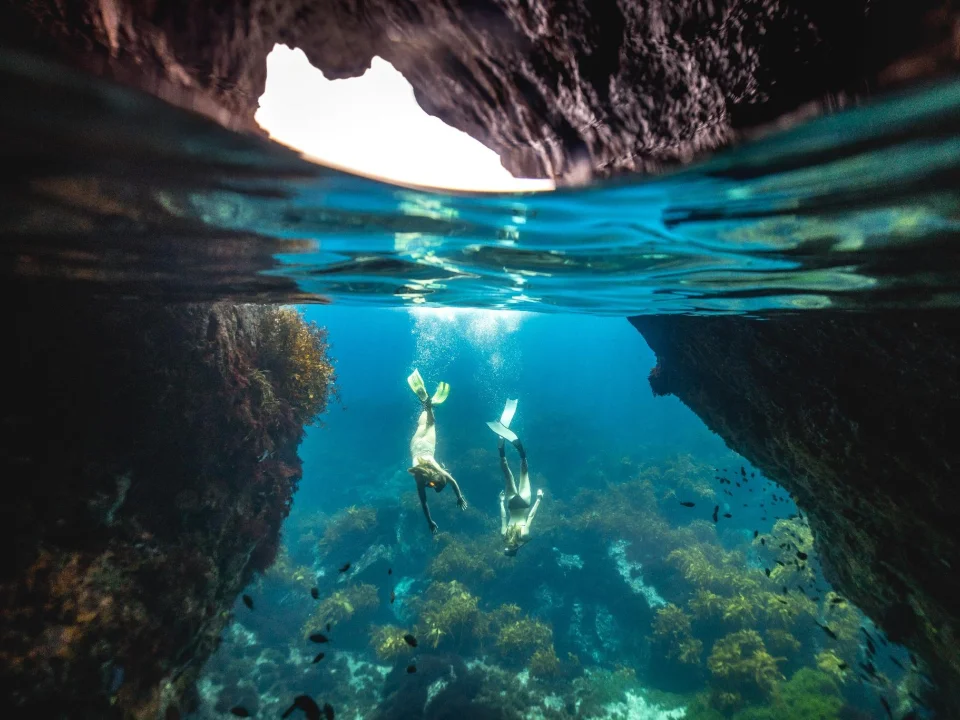 Twee snorkelaars zwemmen onder water bij de Poor Knights Islands voor de kust van Tutukaka, Nieuw-Zeeland