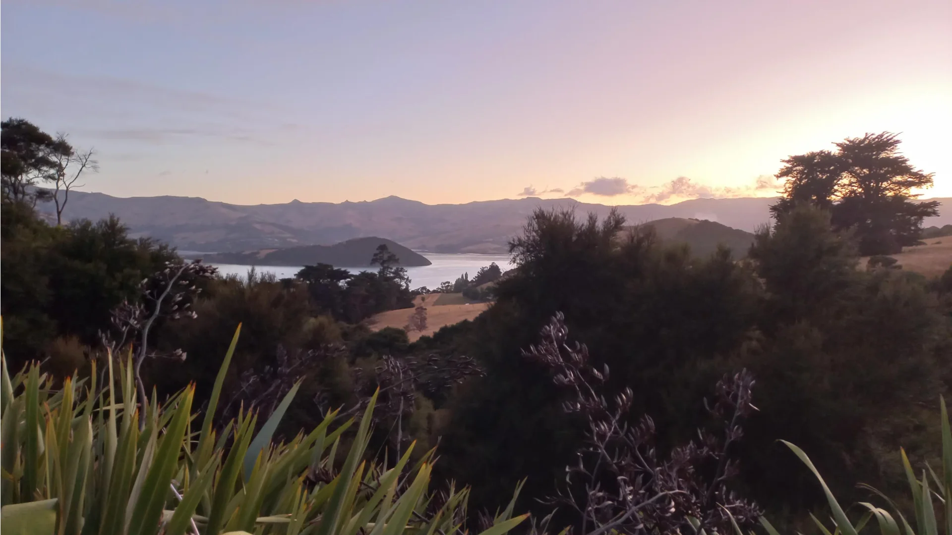 Zonsondergang in Akaroa, met uitzicht over de baai en de lucht die paars kleurt, Nieuw-Zeeland