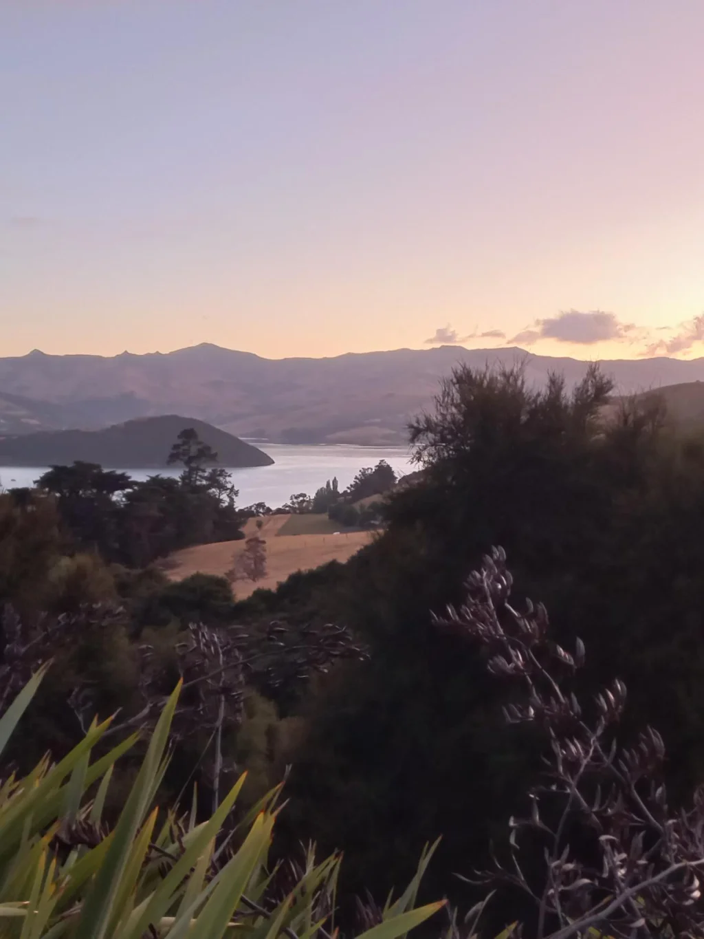 Zonsondergang in Akaroa, met uitzicht over de baai en de lucht die paars kleurt, Nieuw-Zeeland