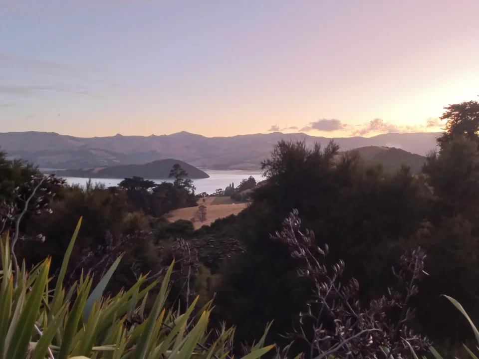 Zonsondergang in Akaroa, met uitzicht over de baai en de lucht die paars kleurt, Nieuw-Zeeland