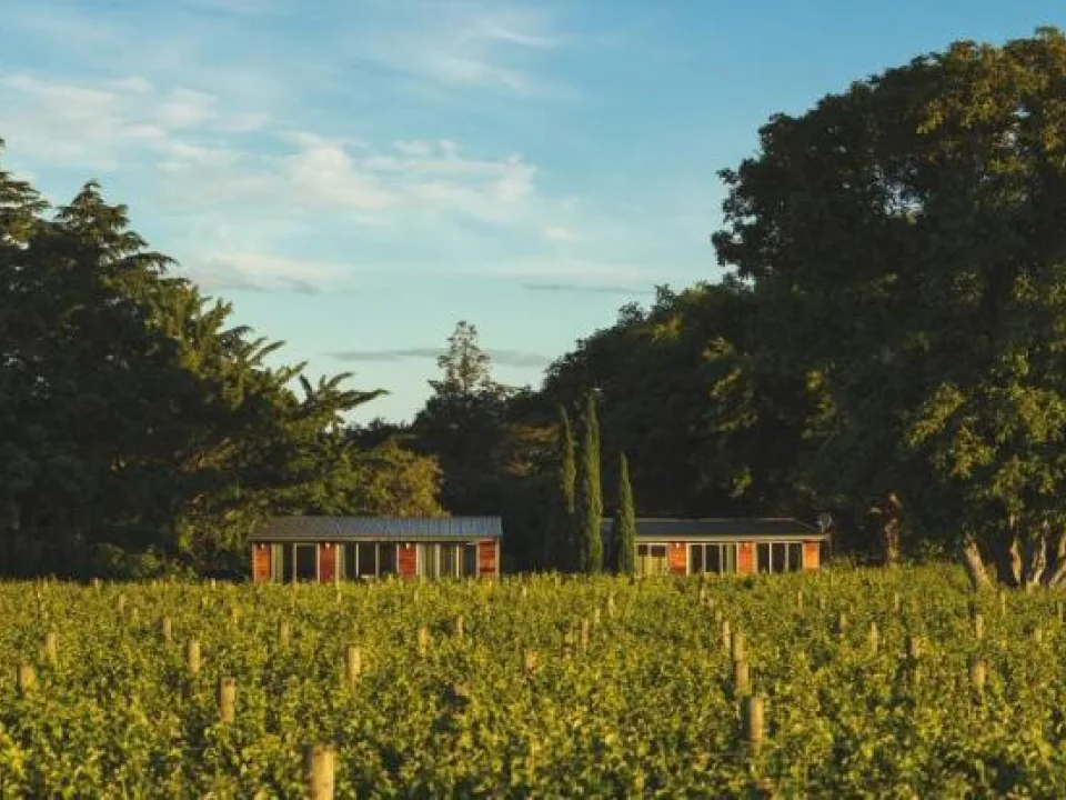 De twee huisjes van Walnut Block Cottages middenin de wijngaarden