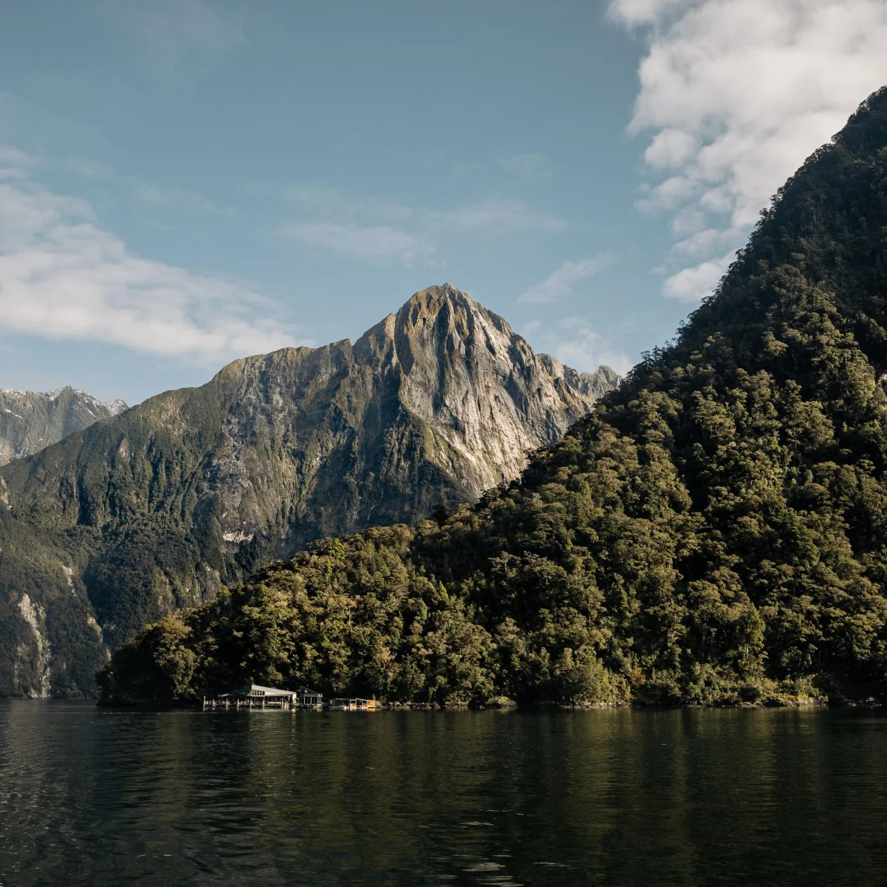 Milford Sound vanaf het water, en haar prachtige bergachtige omgeving, Fiordland, Nieuw-Zeeland