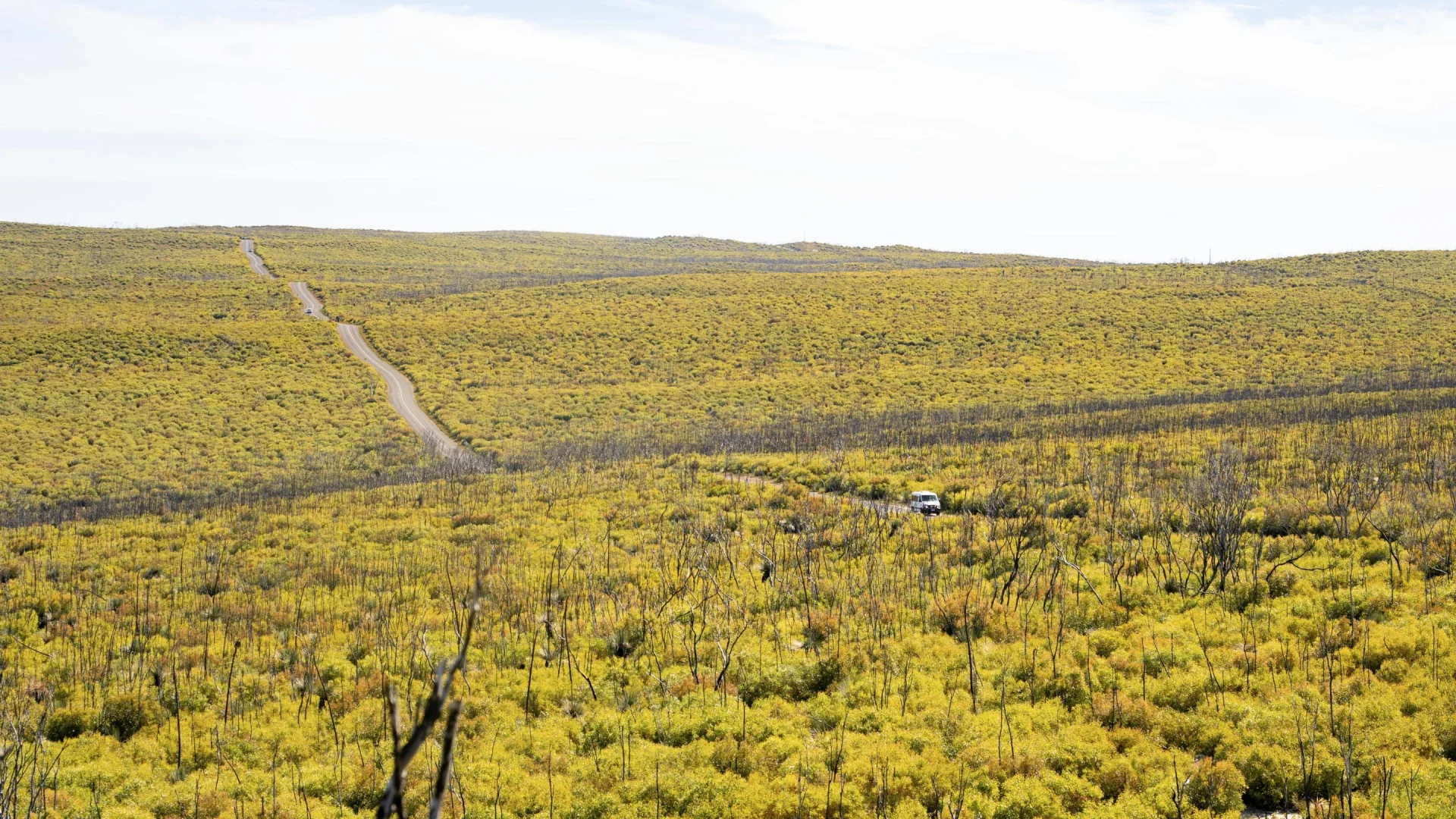 Een auto door een landschap waar niemand anders is, op Kangaroo Island in Flinders Chase NP