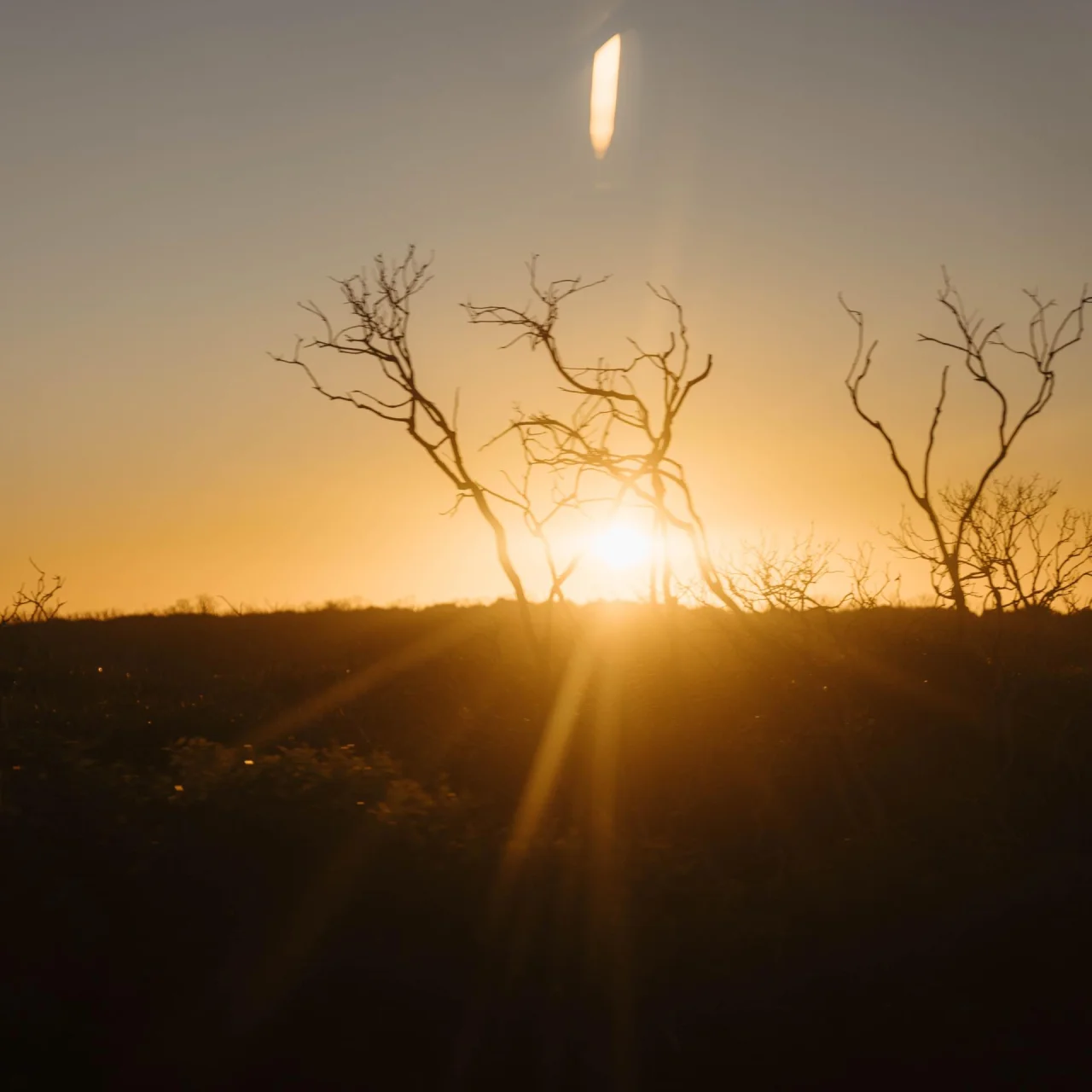 Zonsondergang in het droge landschap van Kangaroo Island