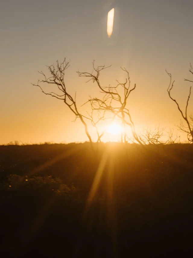 Zonsondergang in het droge landschap van Kangaroo Island