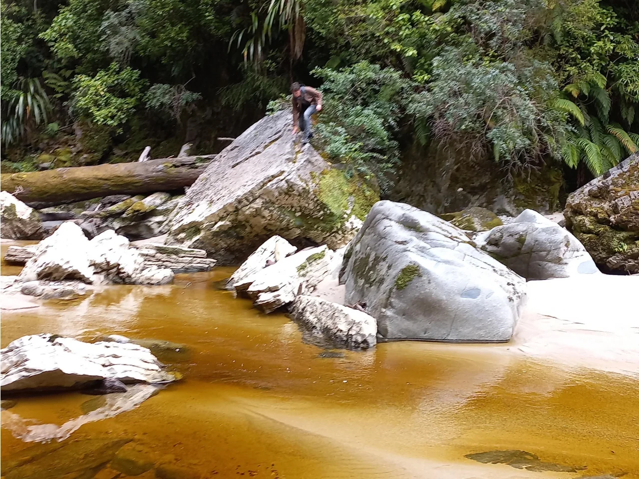 Afgelegen natuur rond Oparara Basin en Kahurangi National Park