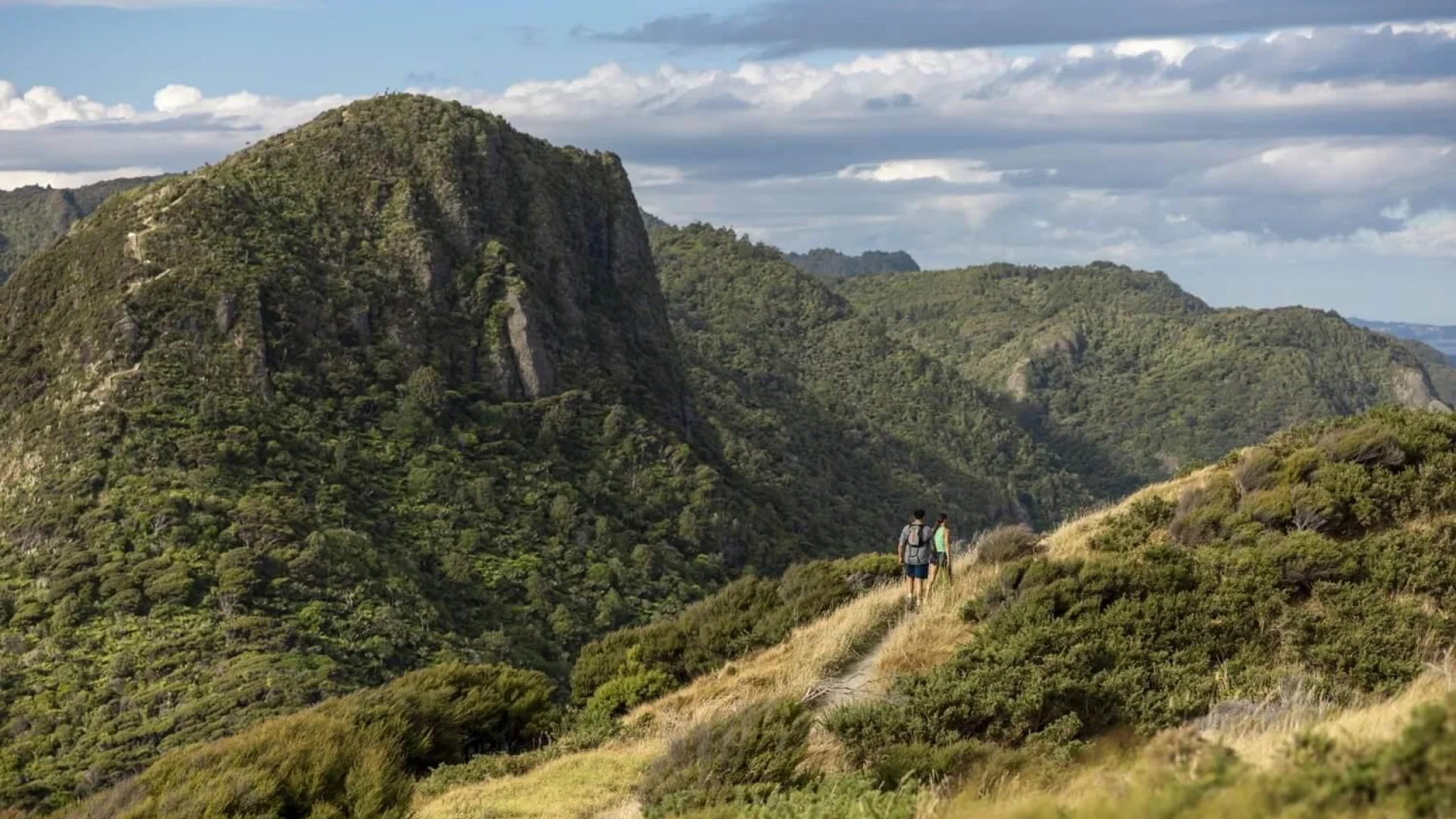 Wandelaars in de heuvels van de Waitakere Ranges