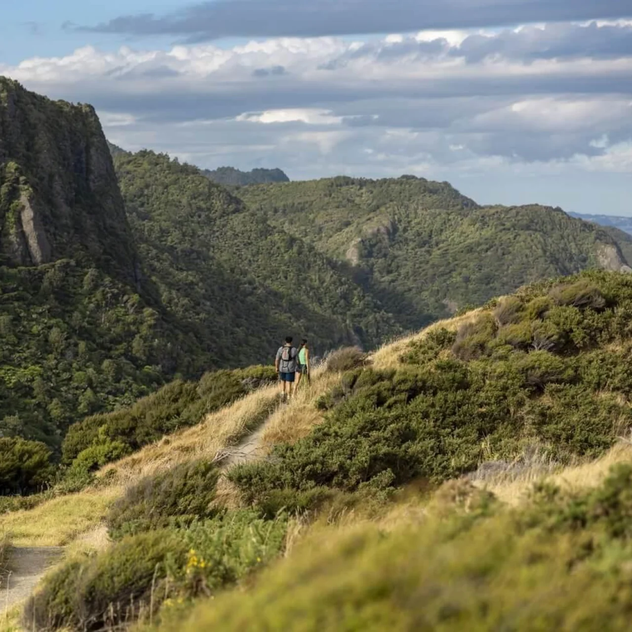 Wandelaars in de heuvels van de Waitakere Ranges