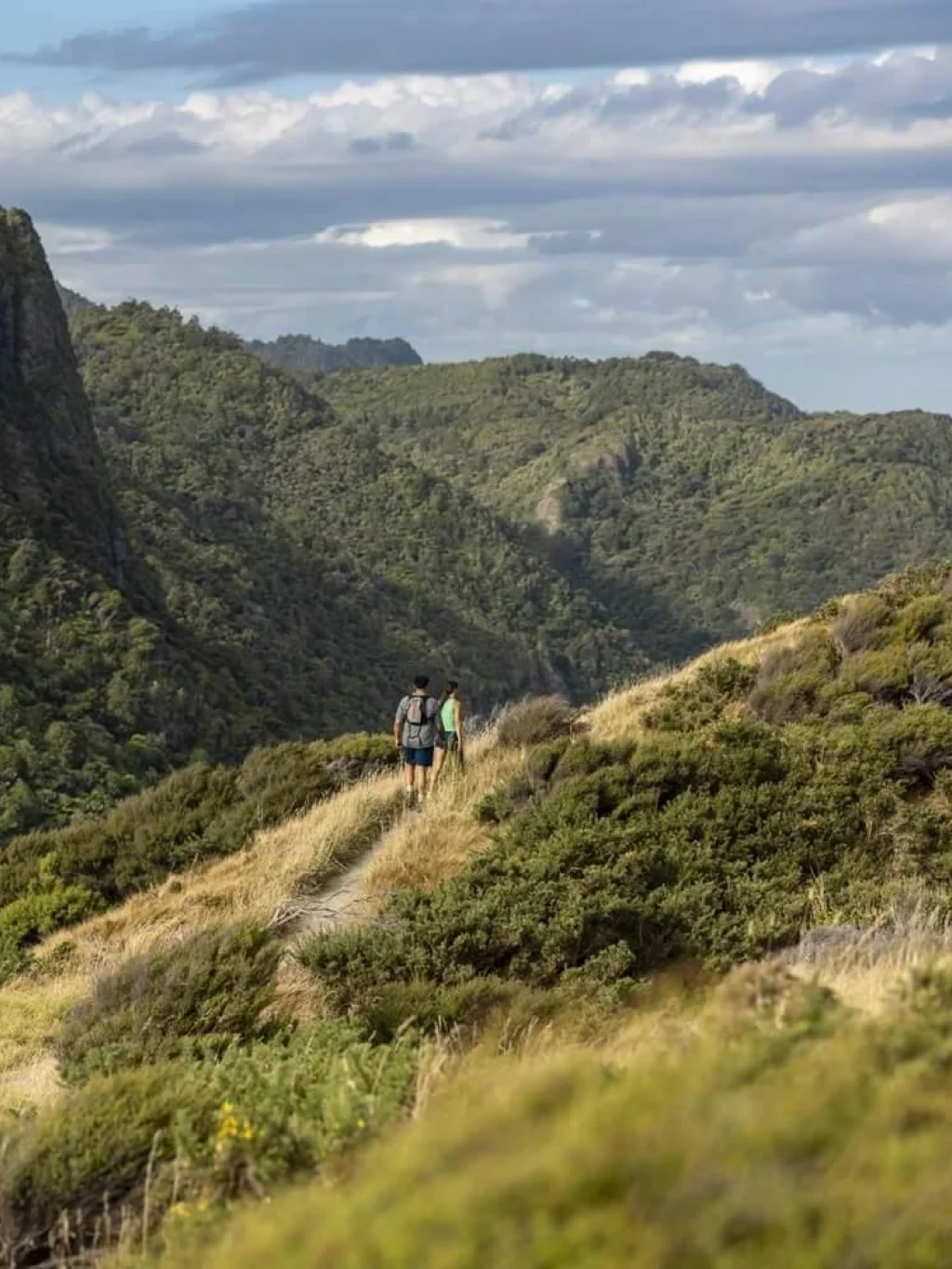Wandelaars in de heuvels van de Waitakere Ranges