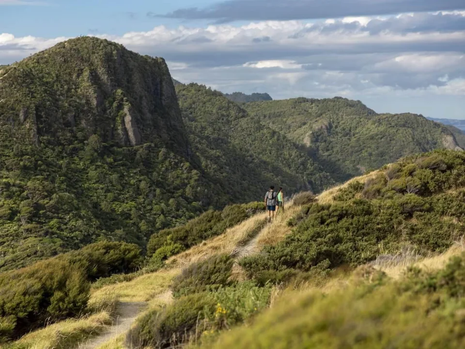 Wandelaars in de heuvels van de Waitakere Ranges
