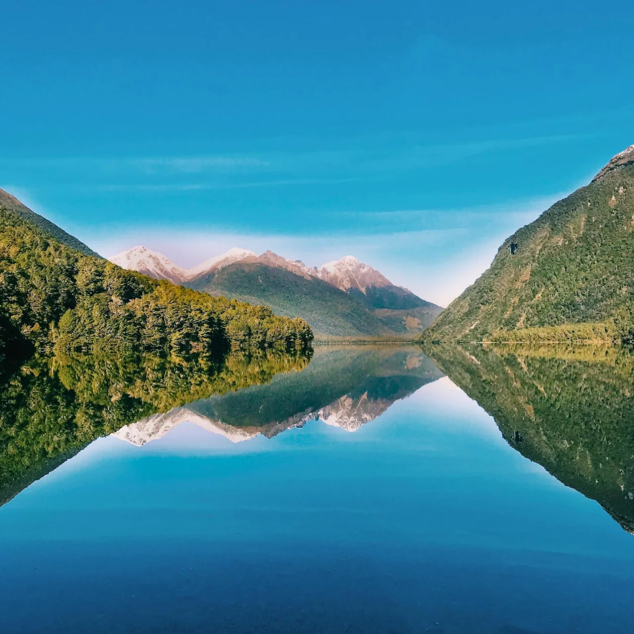 Water en fjorden in Fiordland National Park, Nieuw-Zeeland