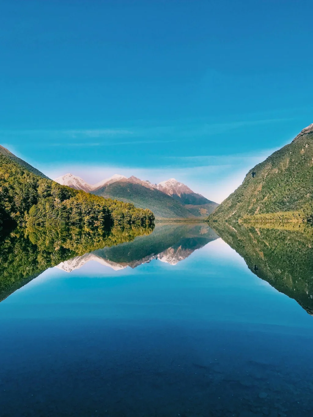 Water en fjorden in Fiordland National Park, Nieuw-Zeeland
