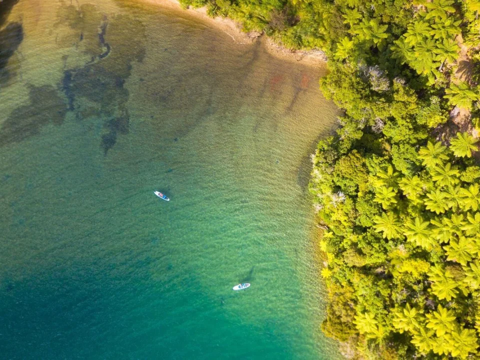 Suppen in de tropische fjorden van Marlborough Sounds met kristalhelder water