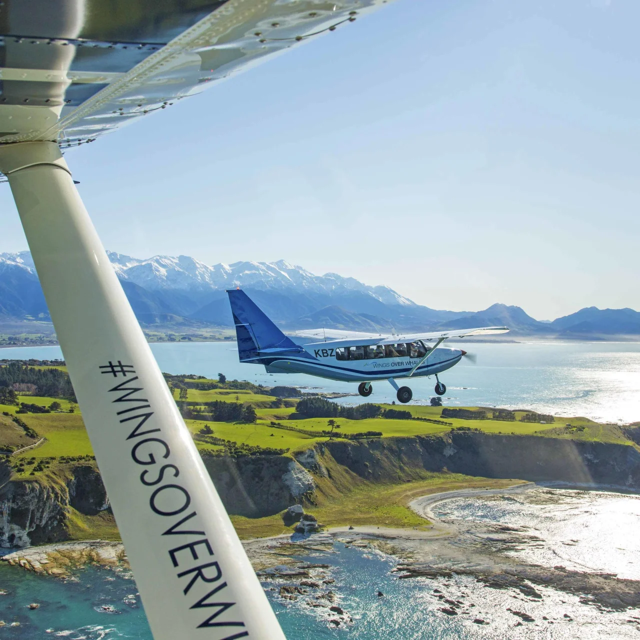 Vliegtuigje van Wings over Whales terwijl het over het schiereiland Kaikoura vliegt