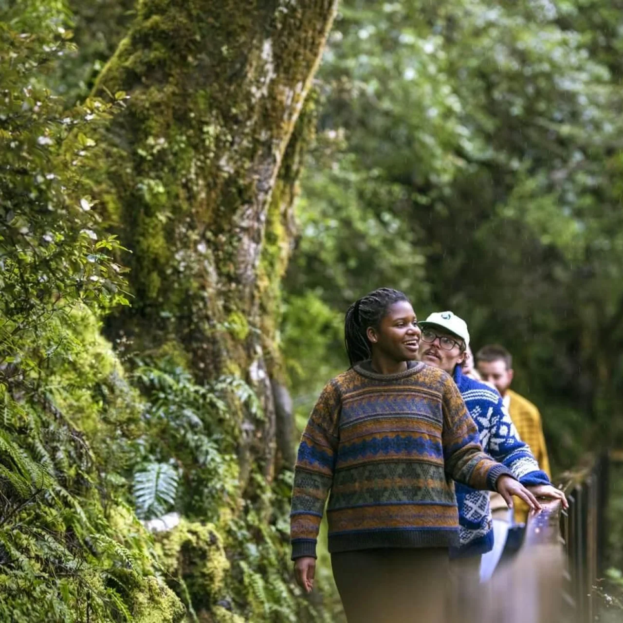 Wandelaars in regenwoud landschap bij Wanaka, Zuidereiland Nieuw-Zeeland