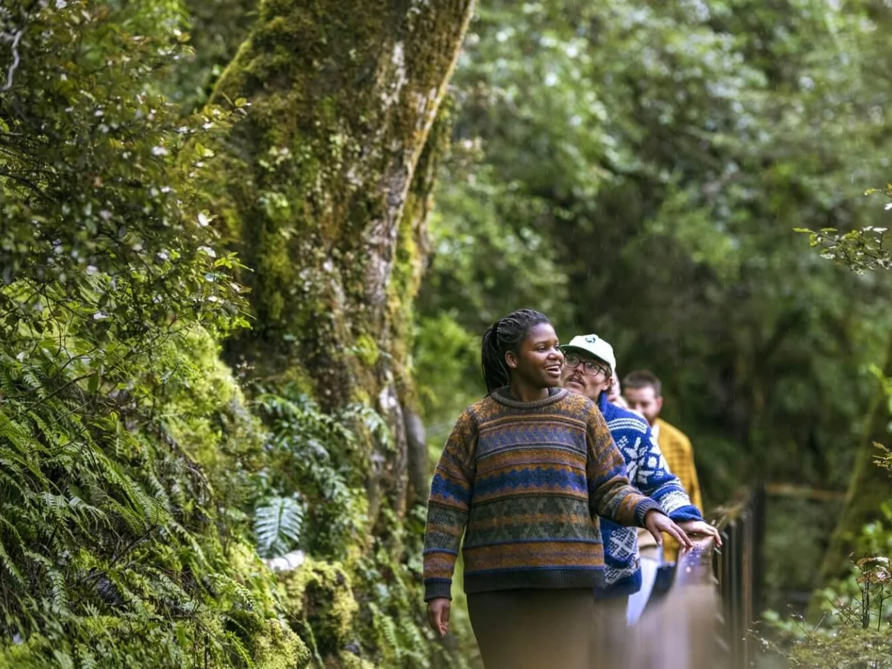 Wandelaars in regenwoud landschap bij Wanaka, Zuidereiland Nieuw-Zeeland